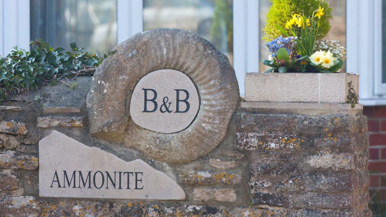 Ammonite Bed & Breakfast Corfe Castle Luaran gambar